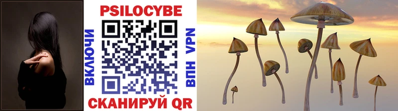 Купить где Звенигово Псилоцибиновые грибы Cubensis